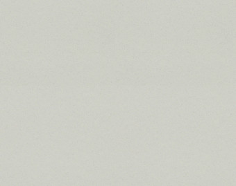 [1001111114_8] Surestep balance - 173062 silt